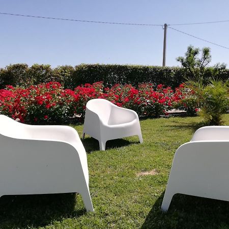 Casa Vacanze Angelica Ostra Vetere Zewnętrze zdjęcie