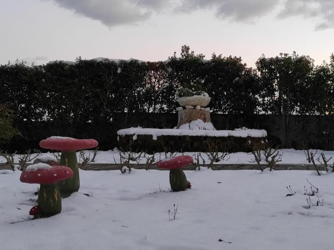 Casa Vacanze Angelica Ostra Vetere Zewnętrze zdjęcie
