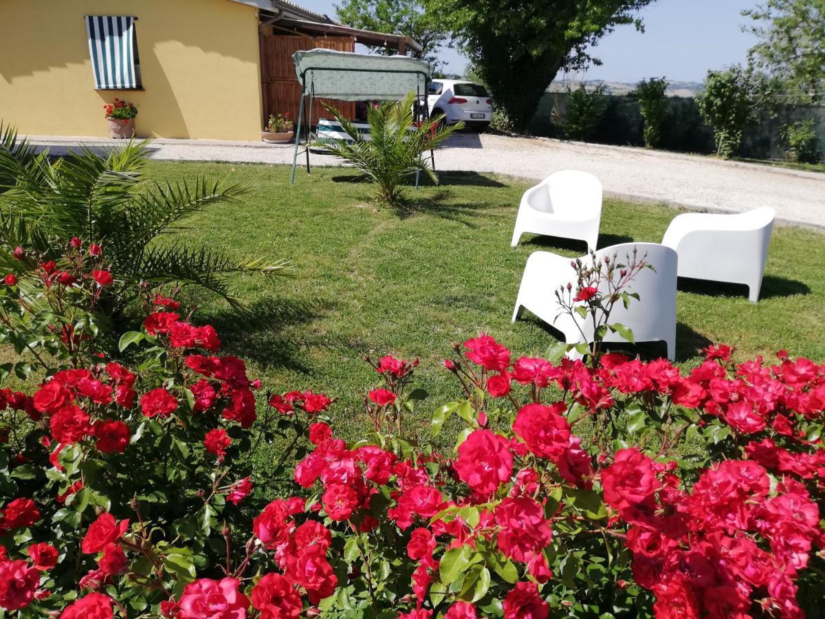 Casa Vacanze Angelica Ostra Vetere Zewnętrze zdjęcie