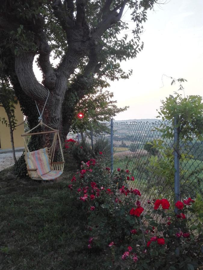 Casa Vacanze Angelica Ostra Vetere Zewnętrze zdjęcie