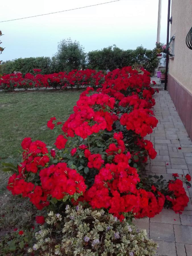 Casa Vacanze Angelica Ostra Vetere Zewnętrze zdjęcie