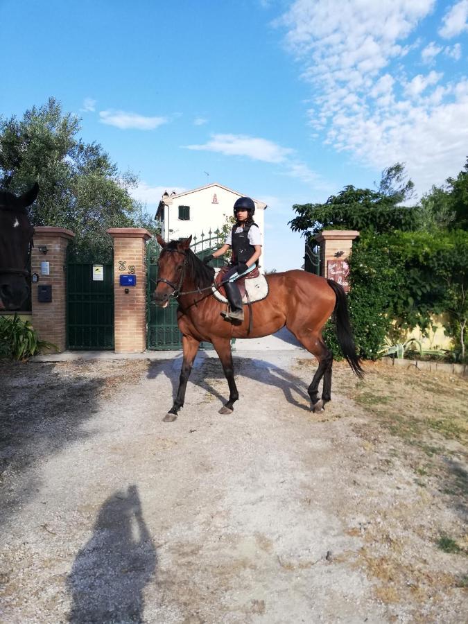 Casa Vacanze Angelica Ostra Vetere Zewnętrze zdjęcie